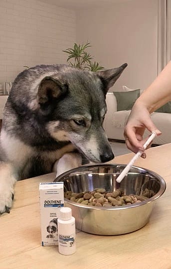Dolthene Ontwormen Vloeistof Hond