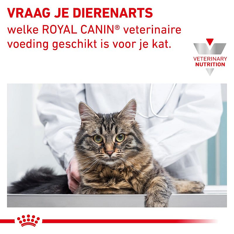 Royal Canin Hypoallergenic Kat