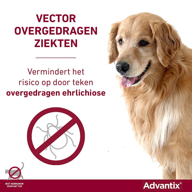 Advantix Spot-on Hond 6 pipetten - 25 - 40 kg - 400/2000