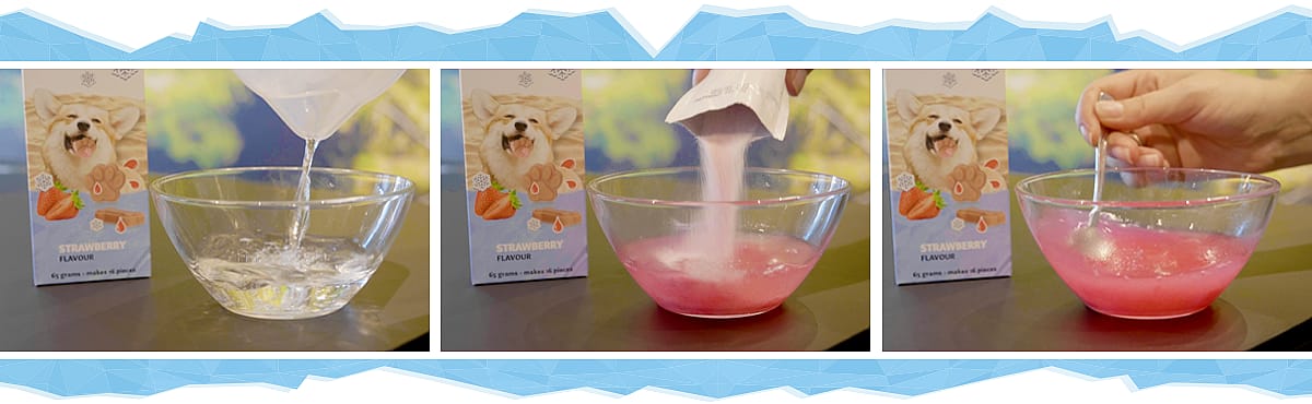 Coolpets Dog Ice Cream Tray