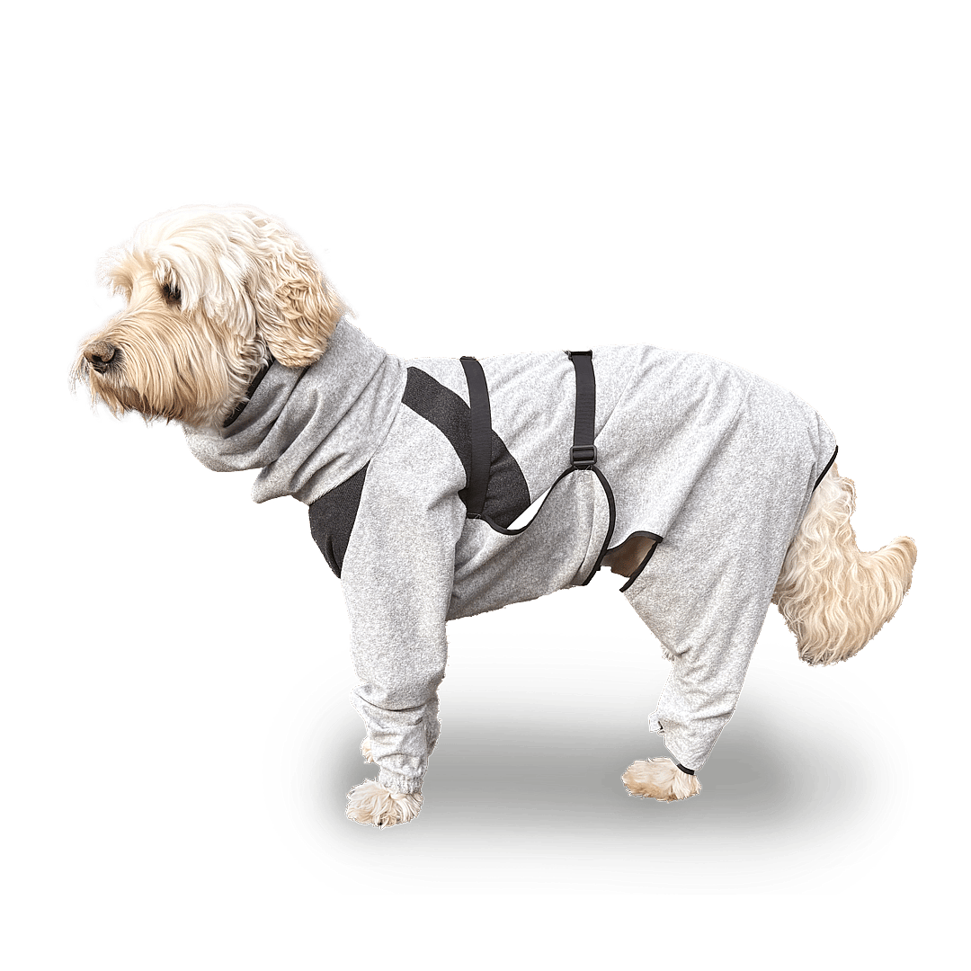 Maxani DermCoat Badjas Hond