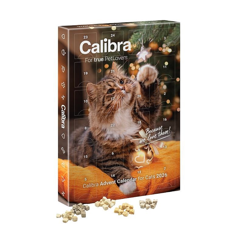 kat, kattenvoer, calendar, adventkalender, kaarten?