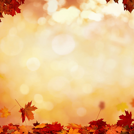 Herfst-huisdier