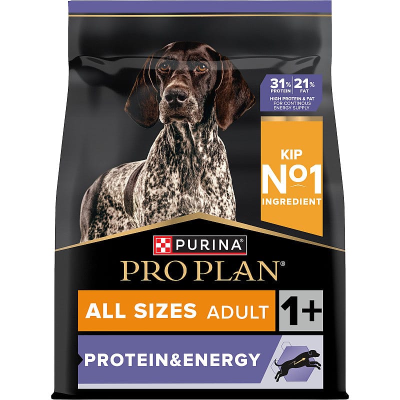 dog food, protein, energy, all sizes, adult