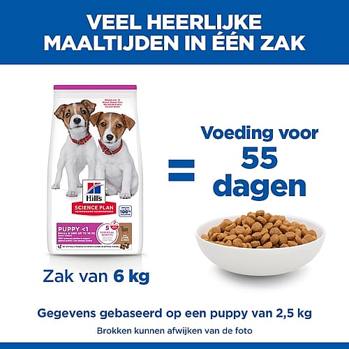 dog food, puppy food, 6 kg bag, dry kibble, Hill's Science Plan