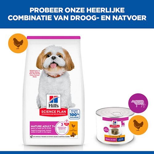 dog food, dry food, lts package, white dog, kibble