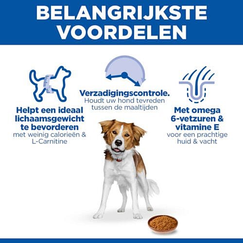 dog, pet food, kibble, bowl, calorie control