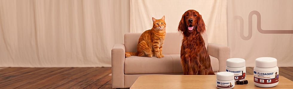 Floragest-Hond-Kat-Virbac