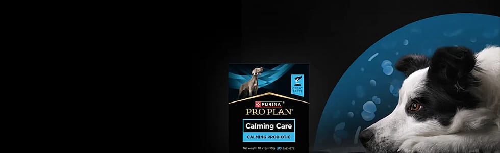 Purina-Calming-Care-Hond-