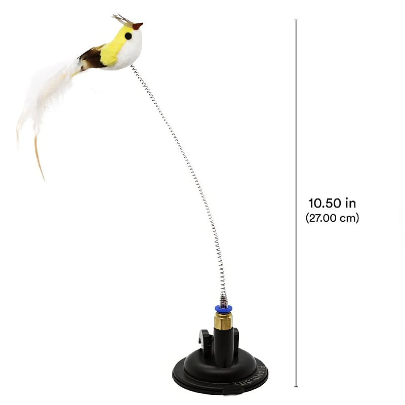 bird, feather, stand, spring, base