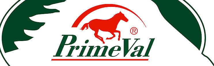 Logo, Logo