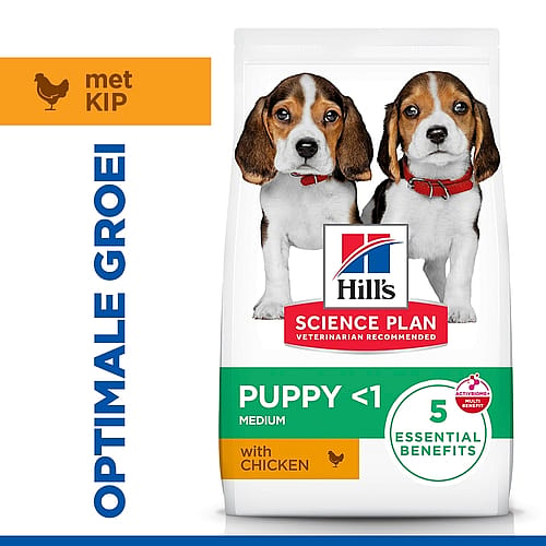 Puppy food, Hill's Science Plan, Medium, Chicken, Puppy
