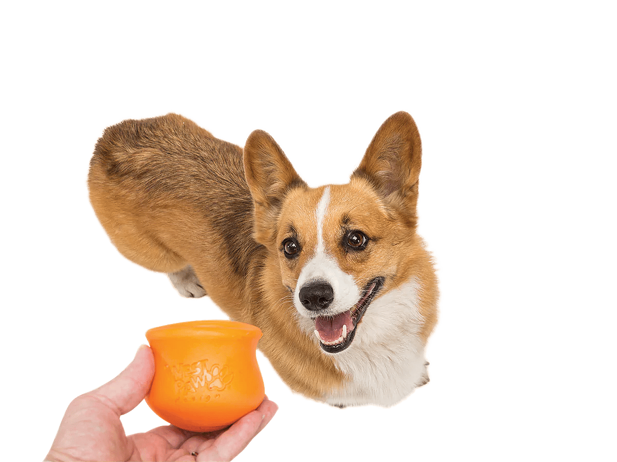 West Paw Zogoflex Toppl Traktatie Puzzel Hond
