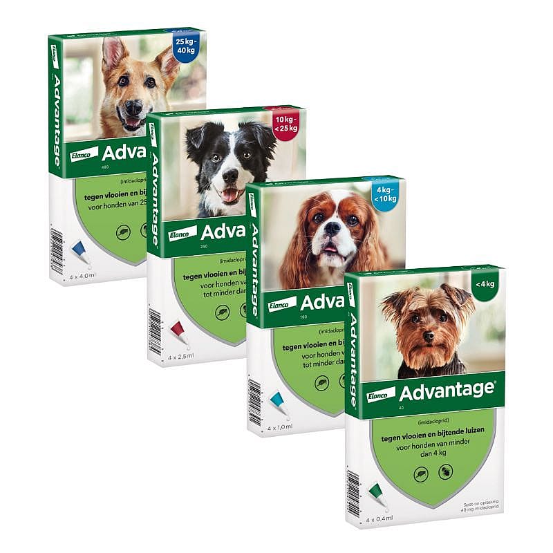 Advantage Spot-on Hond 40 mg - 1 - 4 kg