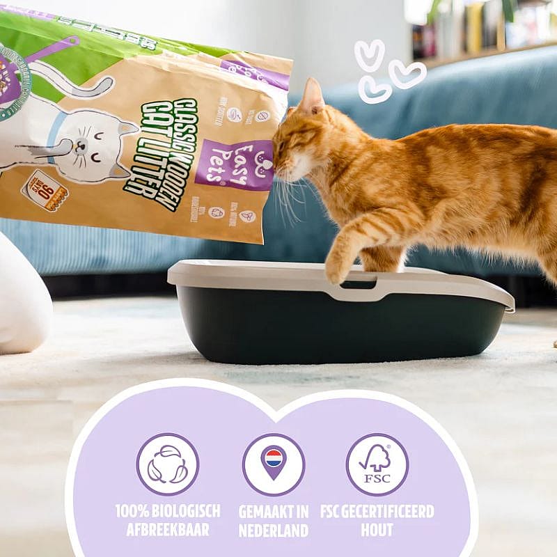 kat, kattenbak, kattenbakje, voerzak, kattensnacks