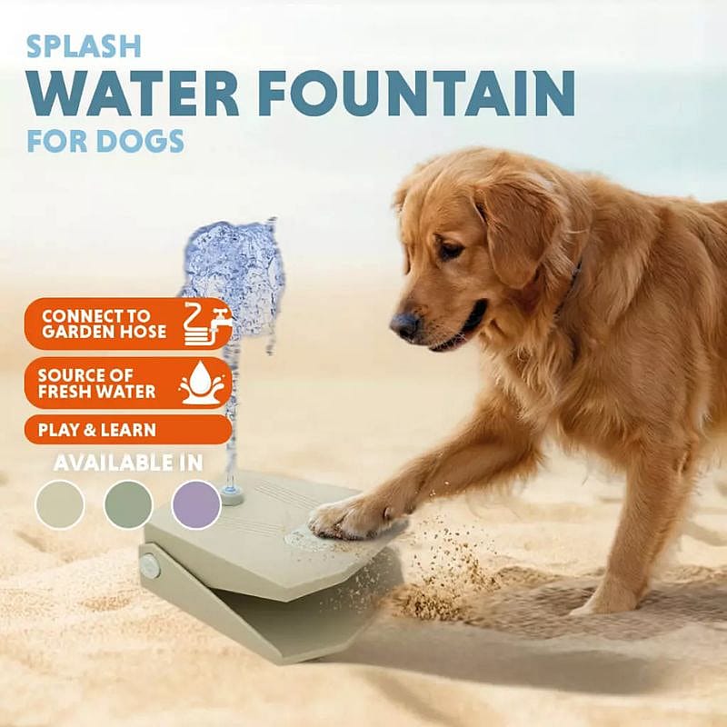 water fountain, dog accessory, garden hose, play & learn, color options