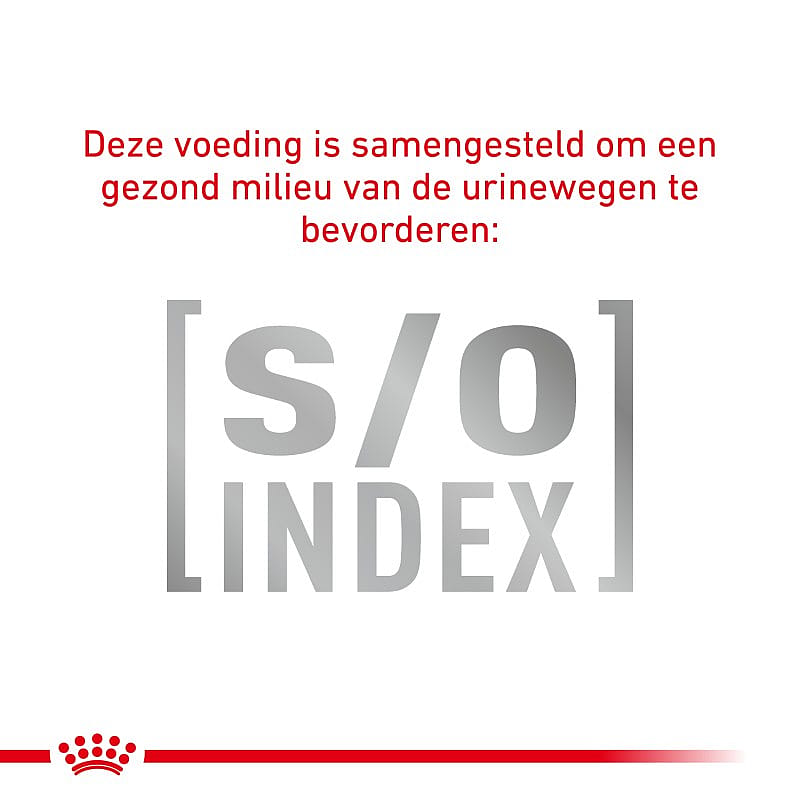 Royal Canin Skin Care Small Dog
