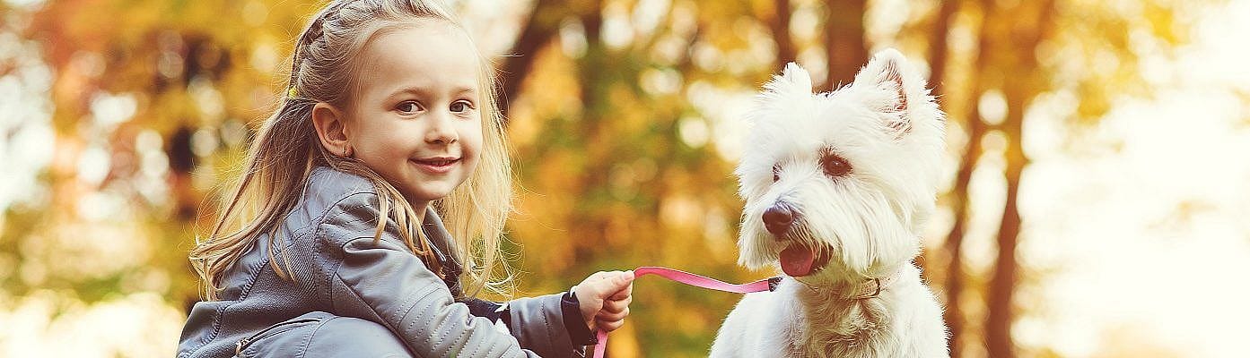 Traanstreep verwijderen hond
