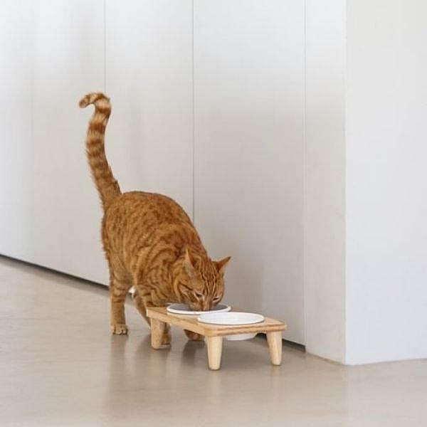 Designed by Lotte Houten Dinerset Djeha Kat