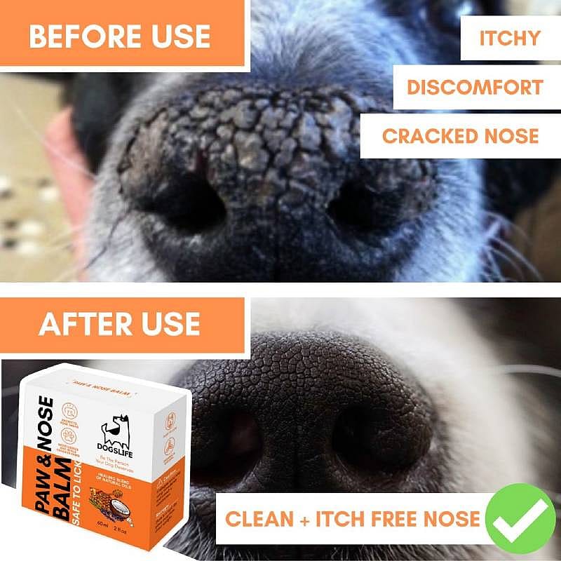 DogsLife Paw & Nose Balm Hond 60 ml