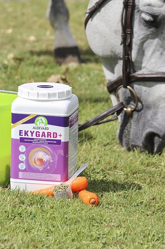 Audevard Ekygard+ Maag Stress Paard
