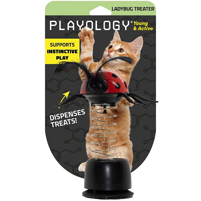 kattenmodel, kattenplay, speelzeug, sprongveer, speelactiviteit