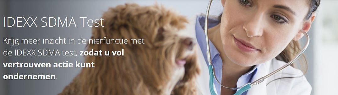 SDMA, de nierfunctie test voor hond en kat