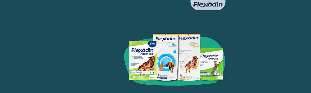 Allergiemedicatie, Antihistaminica, Tabletten, Neusspray, Oogdruppels