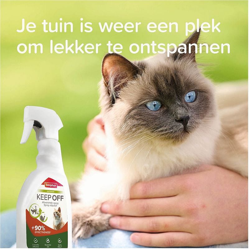 cat, spray, keep off, pet product, bottle