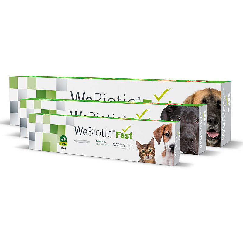 Wepharm WeBiotic Fast Pasta