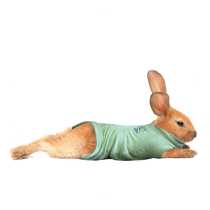 Medical Pet Shirt Konijn