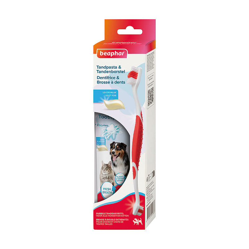 Beaphar Tandpasta en Tandenborstel 1 set