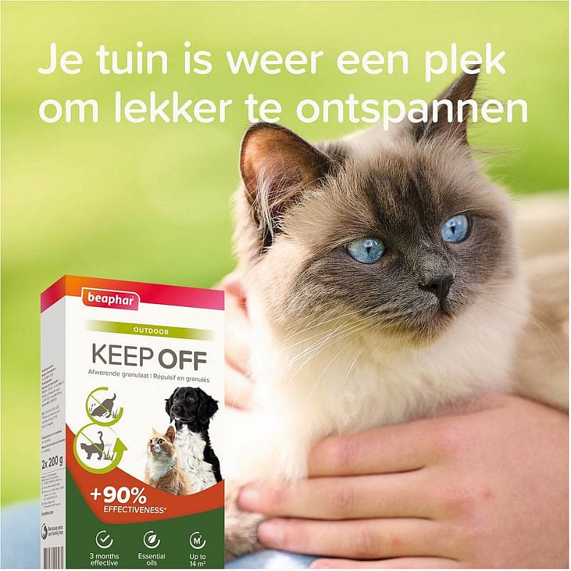 kat, huisdier, kattenmiddelen, afbeelding, ontspanning