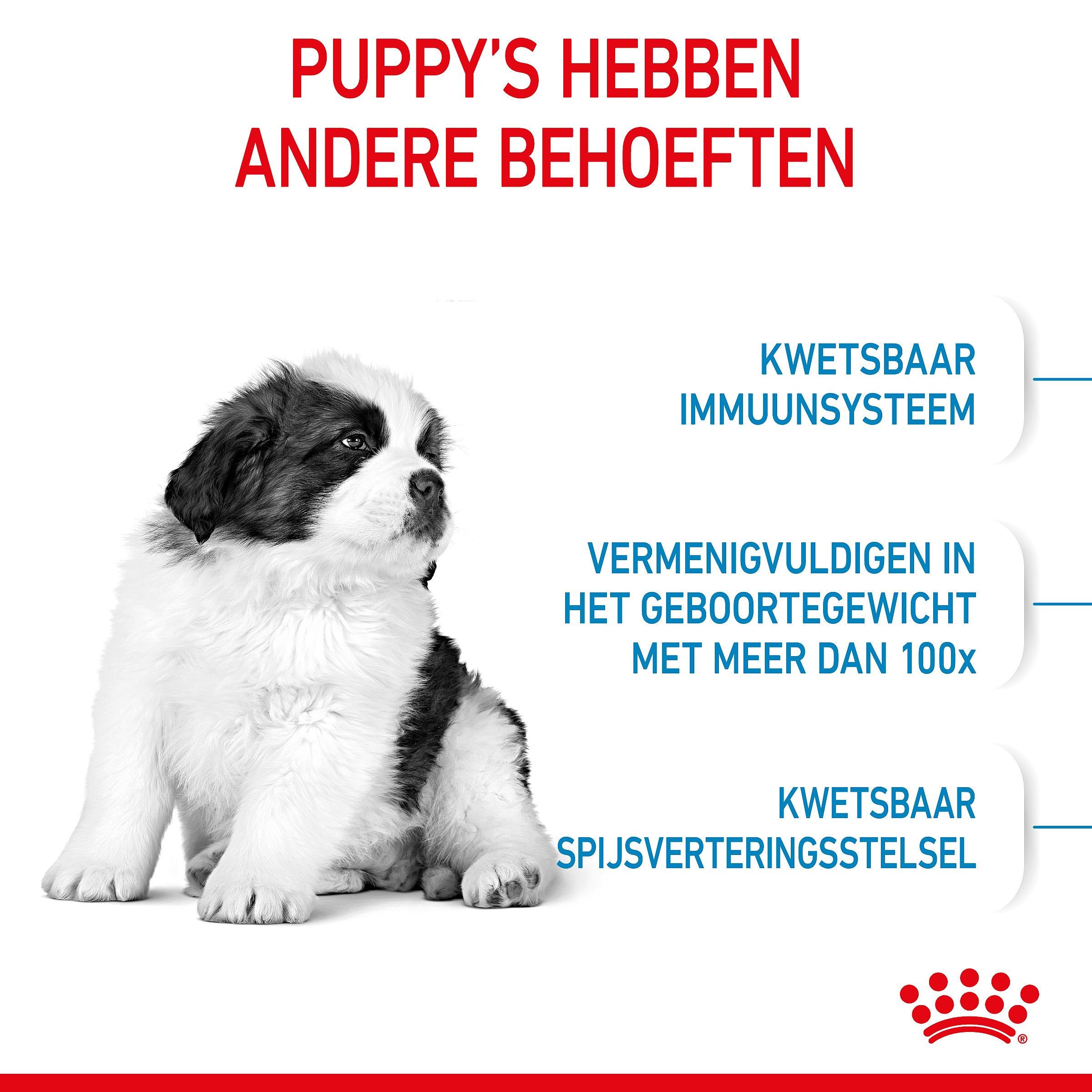 Royal Canin Puppy Giant 15 kg