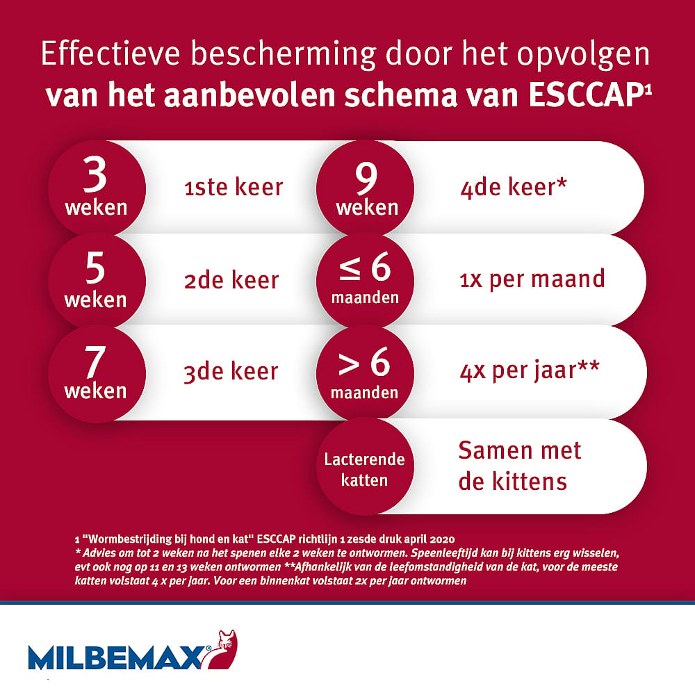 Milbemax Grote Kat Ontwormingstabletten 4 tabletten