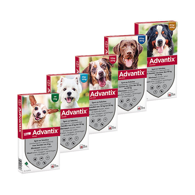 Advantix Spot-on Hond 6 pipetten - 40 - 60 kg - 600/3000