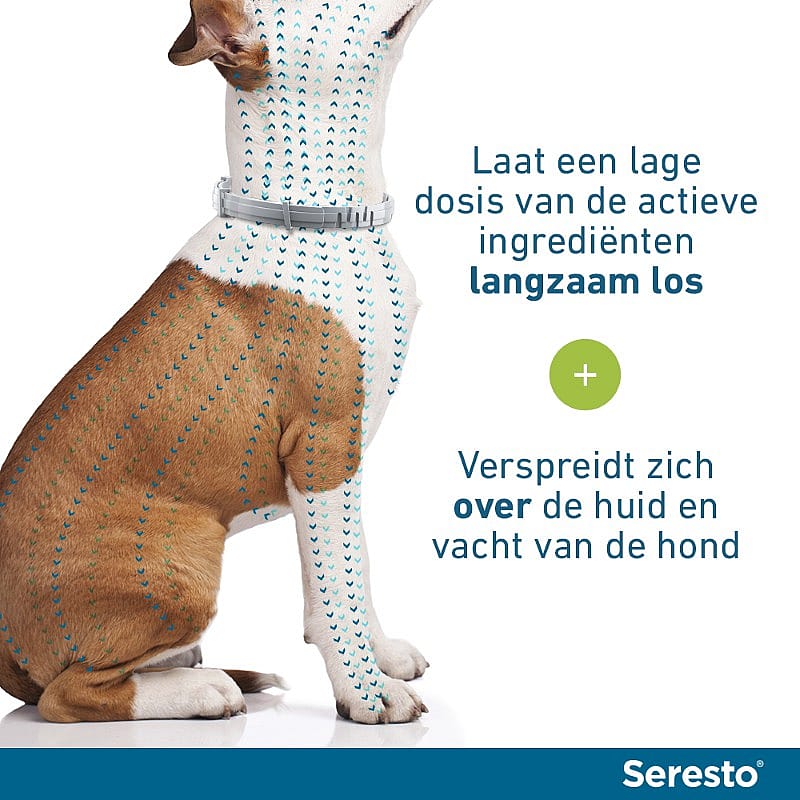dog, kleding voor hond, huidbescherming, vachtverzorging, harnasriem