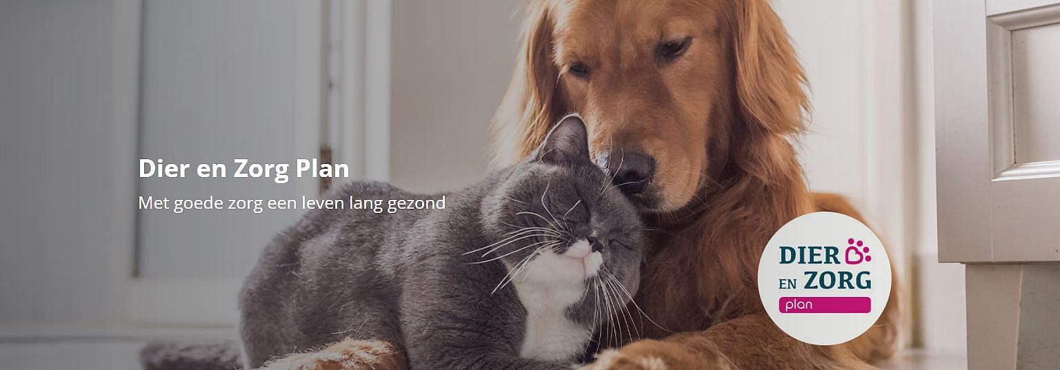 Dier en Zorg Plan voor uw hond en kat