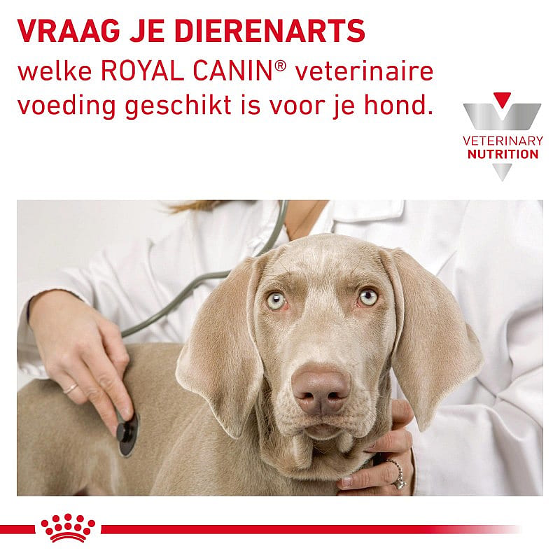 Royal Canin Gastrointestinal Moderate Calorie Hond 2 kg