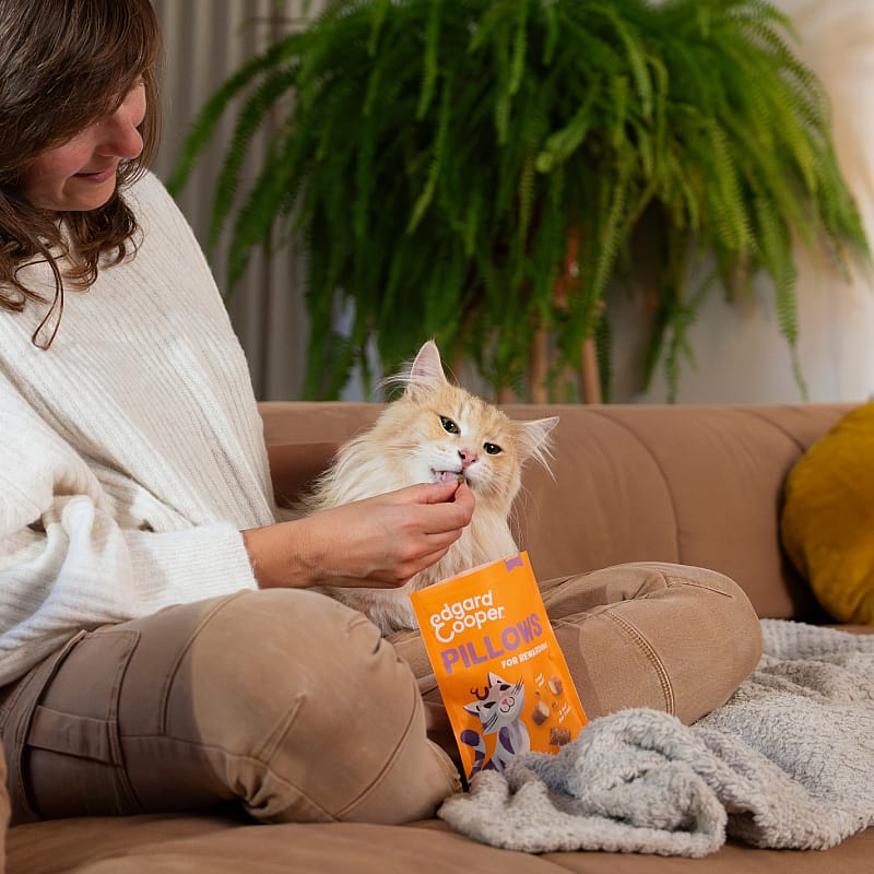 Edgard & Cooper Pillows Kattensnacks 60 gram Kip