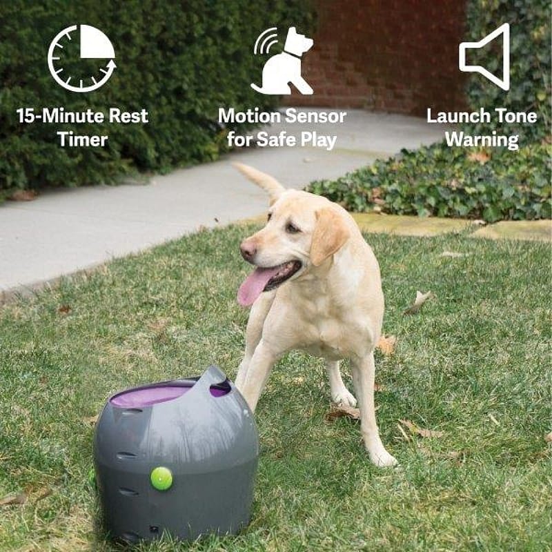 Petsafe Automatische Ballenwerper Hond