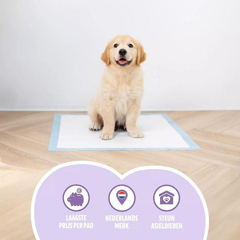 EasyPets Puppy Training Pads 58 x 58 cm Puppy
