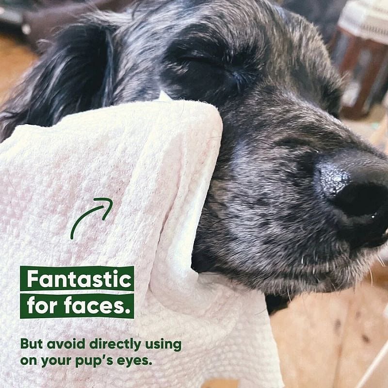 Beco BAMBOO Dog Wipes Travel 20 pack Hond Unscented