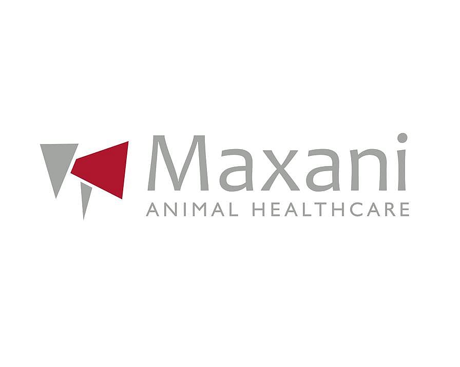 Logo, Logo