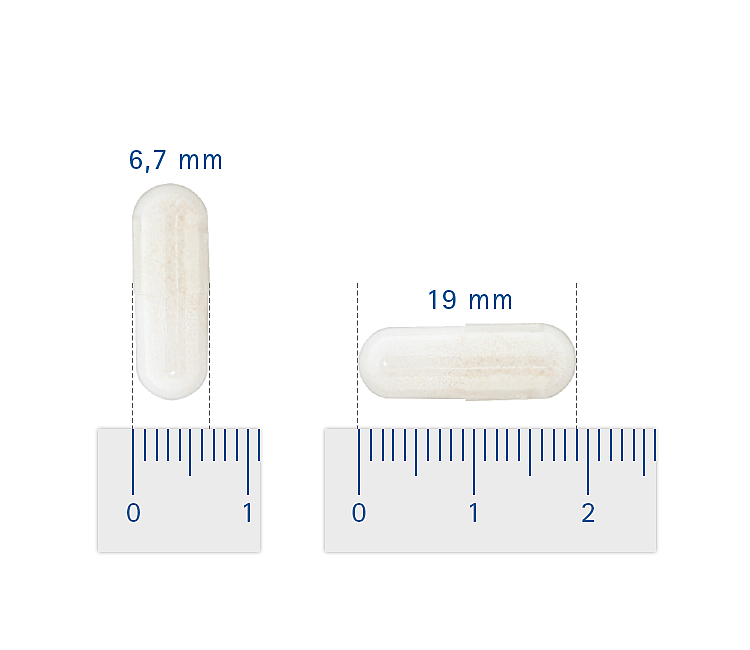 Pharmox Collageen Type II Hond Kat 60 Capsules