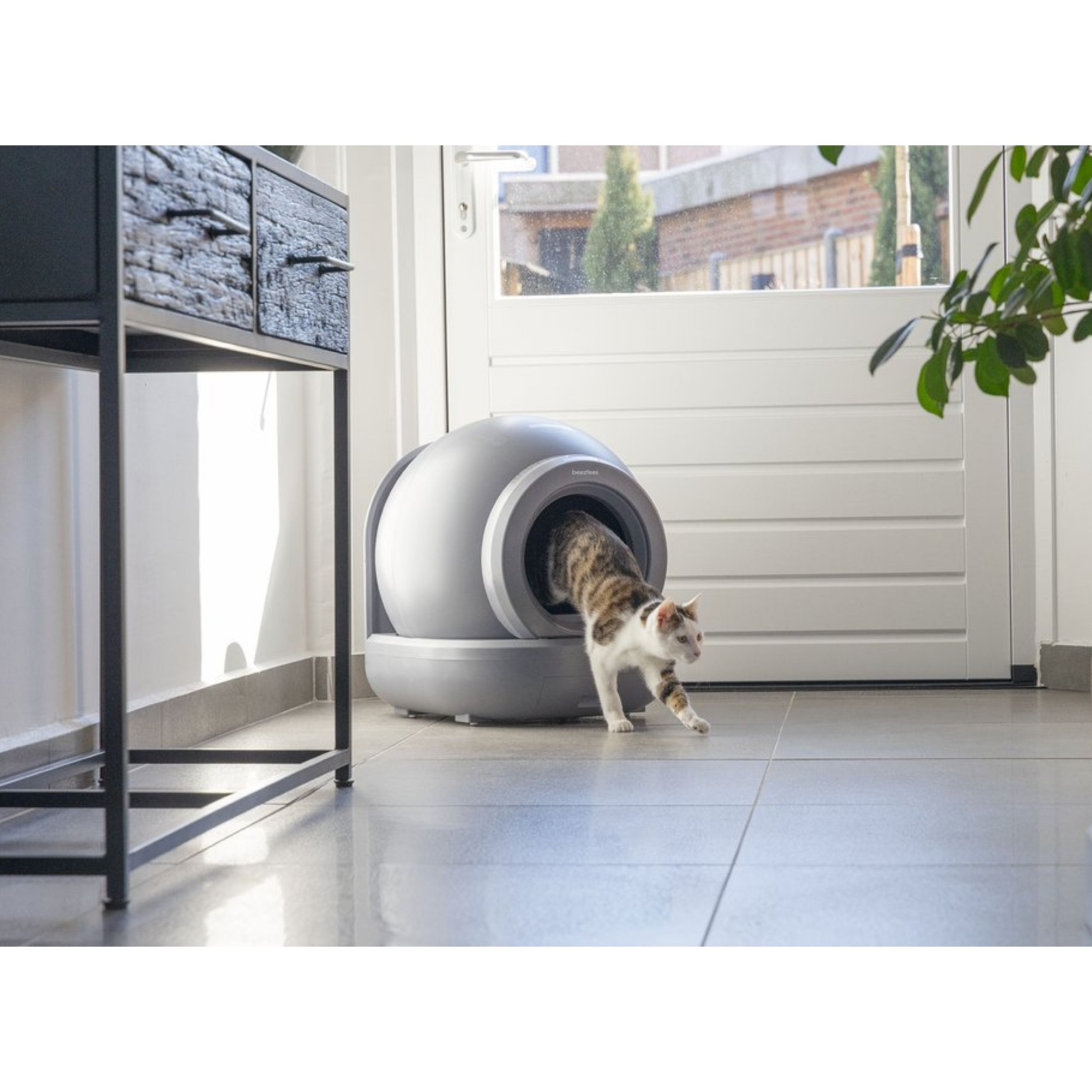 kat, kattenbak, recycling, huisdier, paraplu