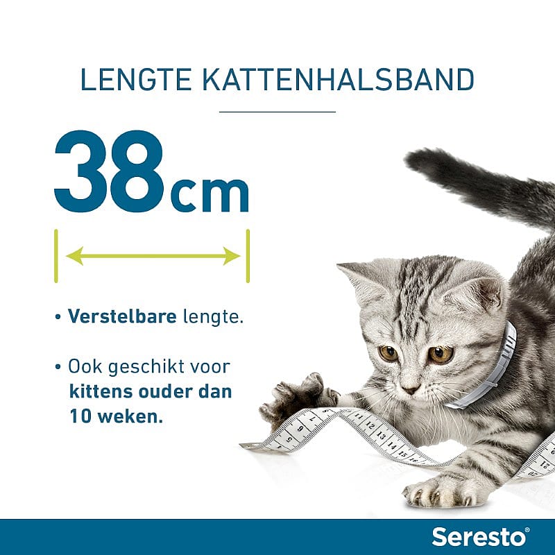 kattenband, lengte verstelbaar, kattenhalsband, metrietschaal, grijs