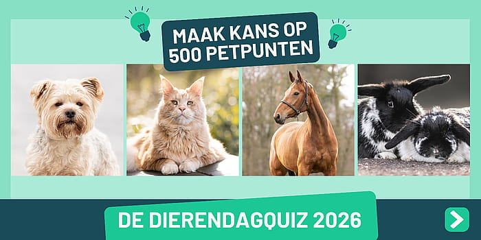 Dierendagquiz2026
