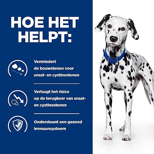 Hill's Prescription Diet UD Urinary Care Hondenvoer 10 kg