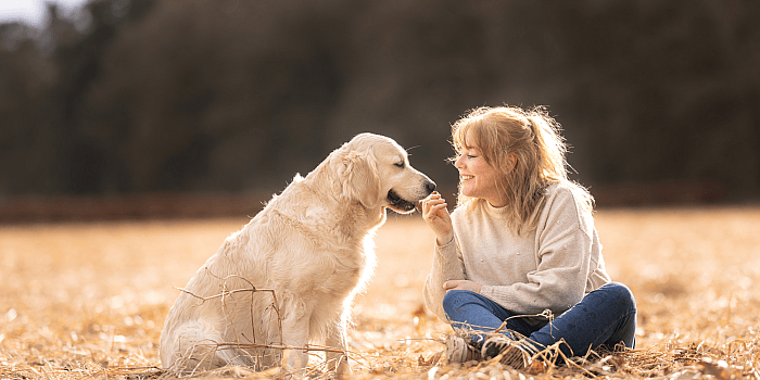 Hennepzaadolie en zalmolie voor honden: de natuurlijke keuze